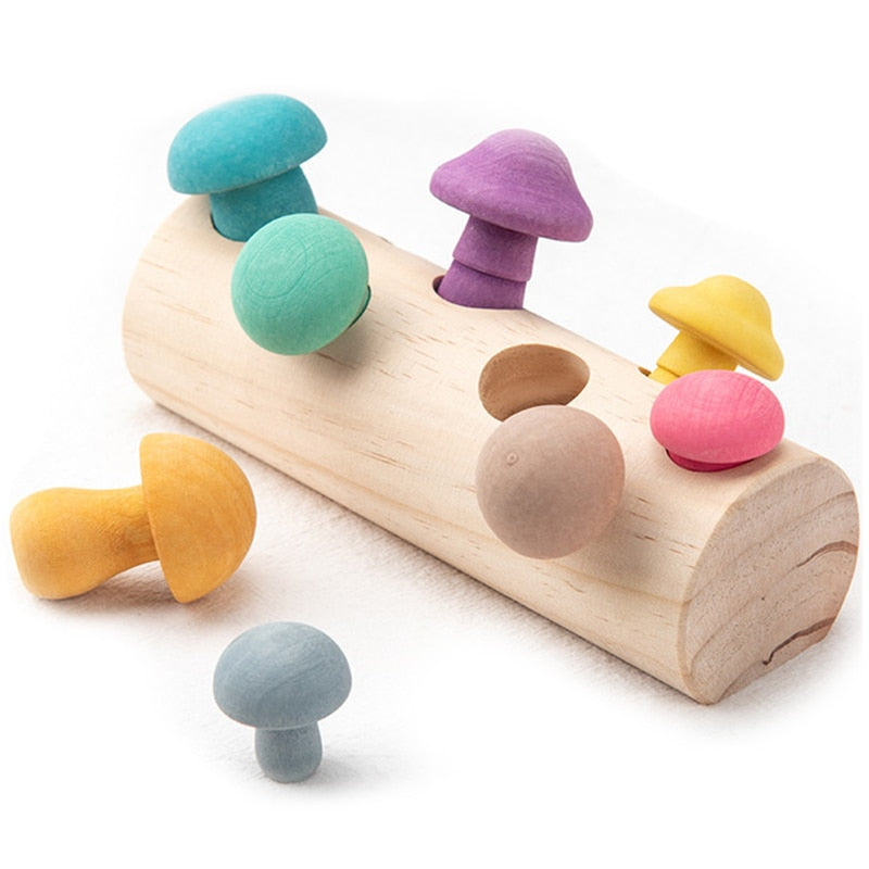 Montessori Wooden Mushroom Sorting Toy by HitMyNeed