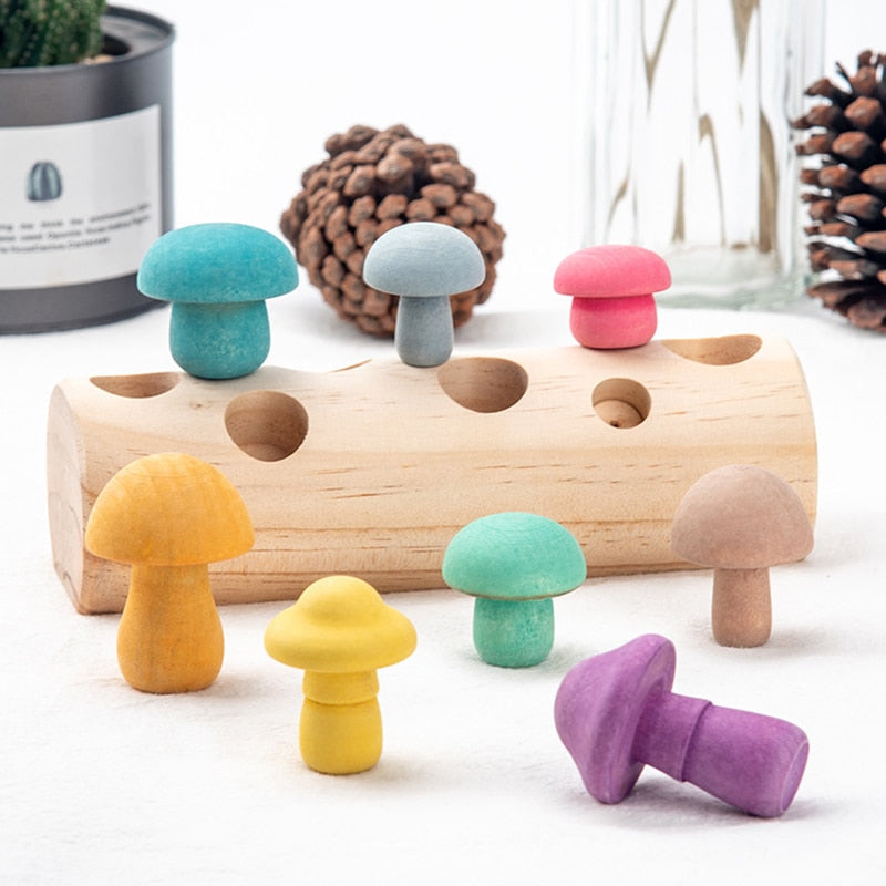 Montessori Wooden Mushroom Sorting Toy by HitMyNeed