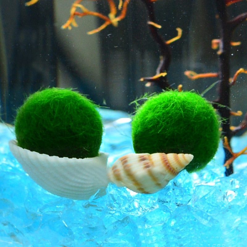 Moss Ball Aquarium Water Clarifier (3-4 cm) by HitMyNeed