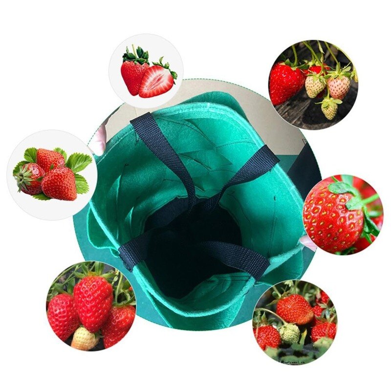 Multi Pocket Hanging Strawberry Planter Bag by HitMyNeed
