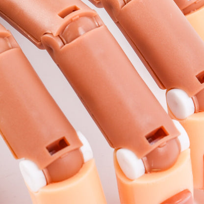 Nail Training Practice Hand with Clamp & Accessories by HitMyNeed