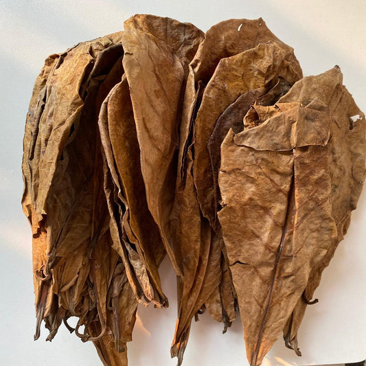 Natural Almond Leaves for Aquarium (500 Pack) by HitMyNeed