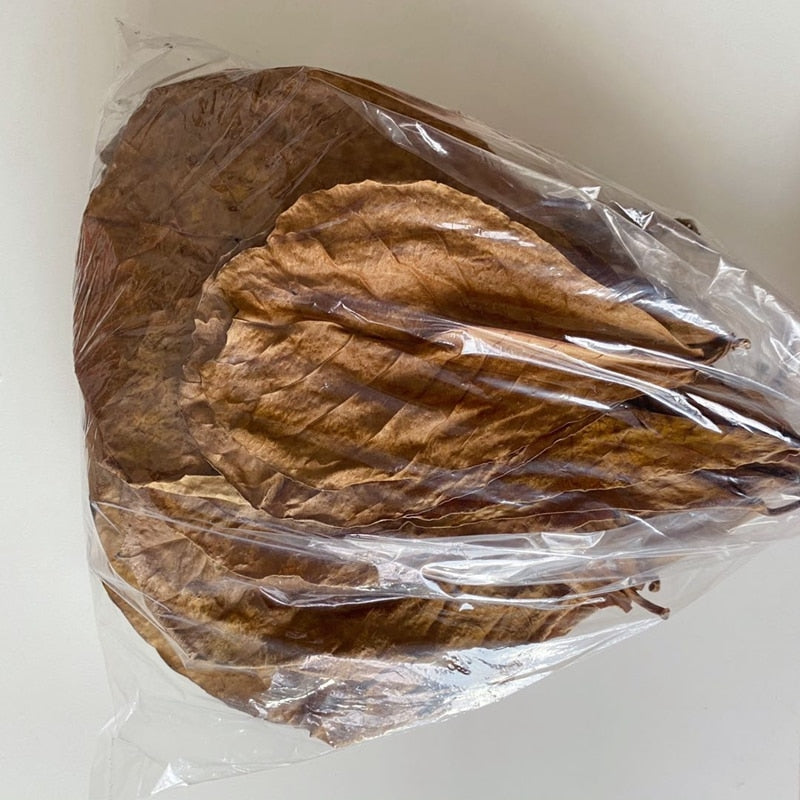 Natural Almond Leaves for Aquarium (500 Pack) by HitMyNeed
