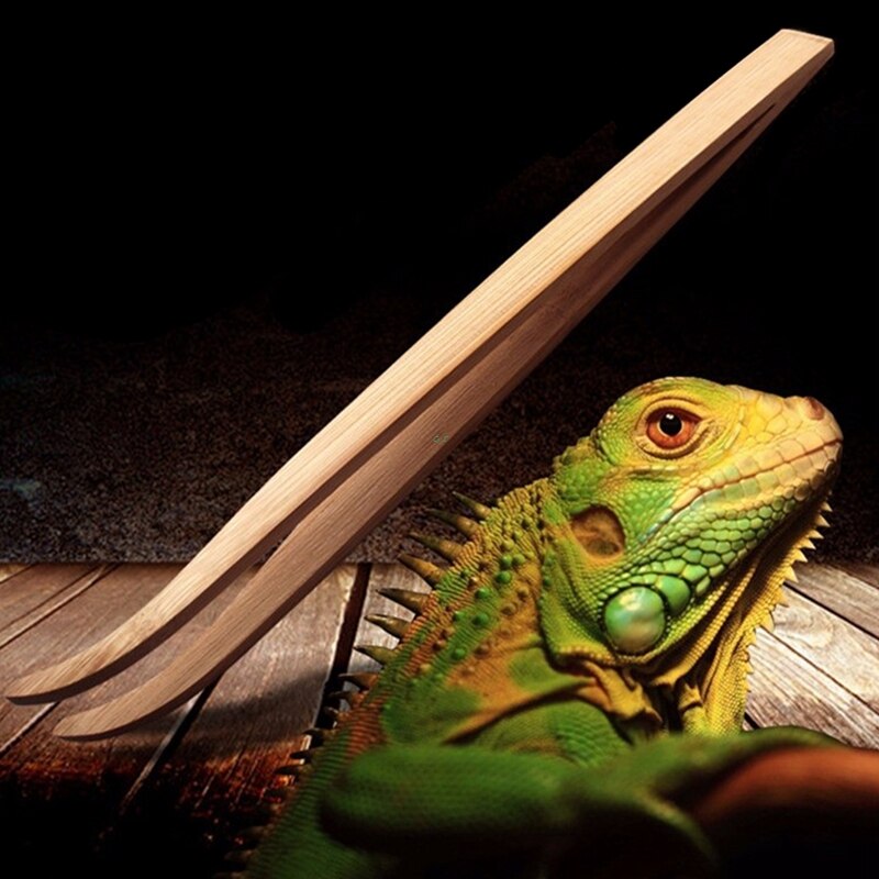 Natural Bamboo Reptile Feeding Tweezers 28cm by HitMyNeed