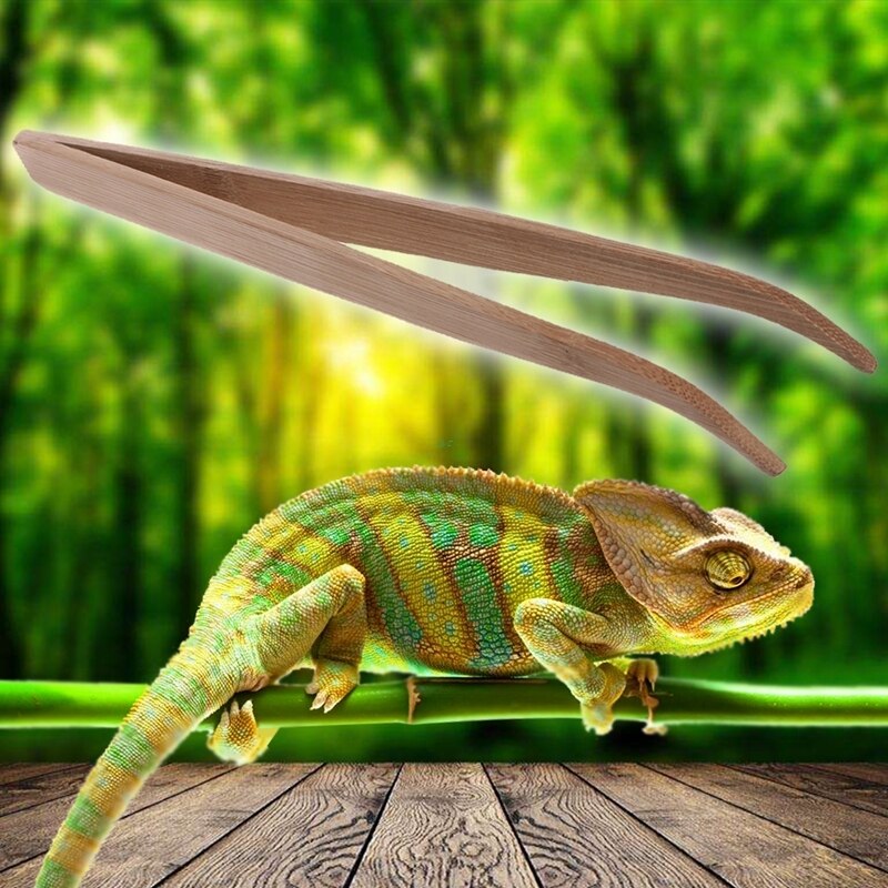 Natural Bamboo Reptile Feeding Tweezers 28cm by HitMyNeed
