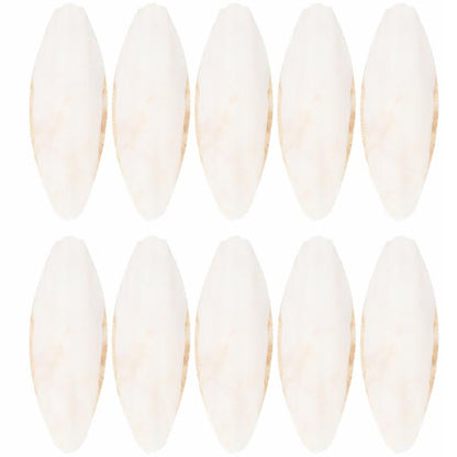 Natural Bird Cuttlebones Chew Toys, 10 Pack by HitMyNeed