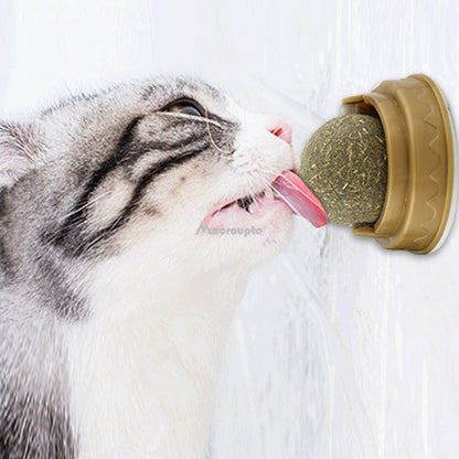 Natural Catnip Wall Ball Treat & Cat Grass Toy by HitMyNeed