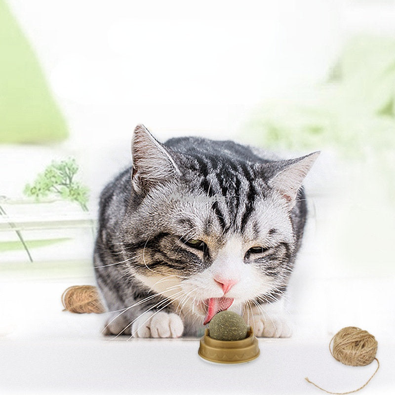 Natural Catnip Wall Ball Treat & Cat Grass Toy by HitMyNeed