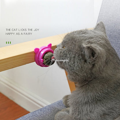 Natural Catnip Wall Ball Treat & Cat Grass Toy by HitMyNeed
