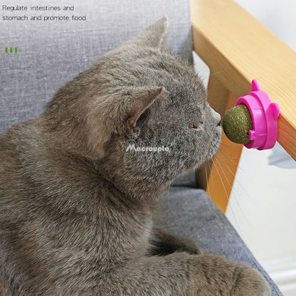 Natural Catnip Wall Ball Treat & Cat Grass Toy by HitMyNeed