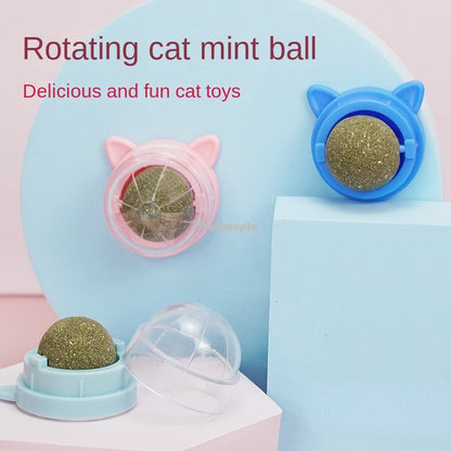 Natural Catnip Wall Ball Treat & Cat Grass Toy by HitMyNeed