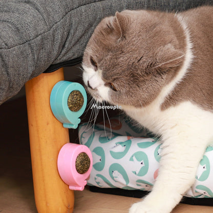 Natural Catnip Wall Ball Treat & Cat Grass Toy by HitMyNeed