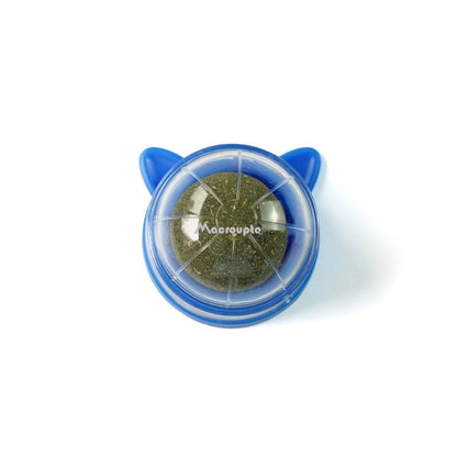 Natural Catnip Wall Ball Treat & Cat Grass Toy blue by HitMyNeed