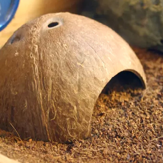 Natural Coconut Cave Hideout for Reptiles and Fish by HitMyNeed