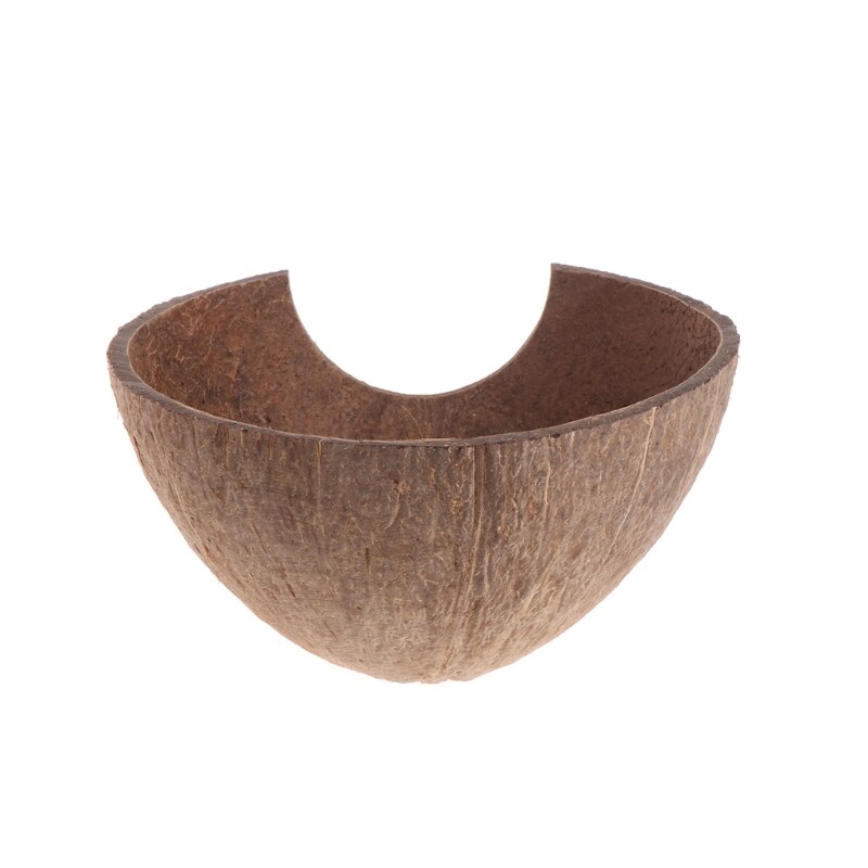 Natural Coconut Cave Hideout for Reptiles and Fish by HitMyNeed