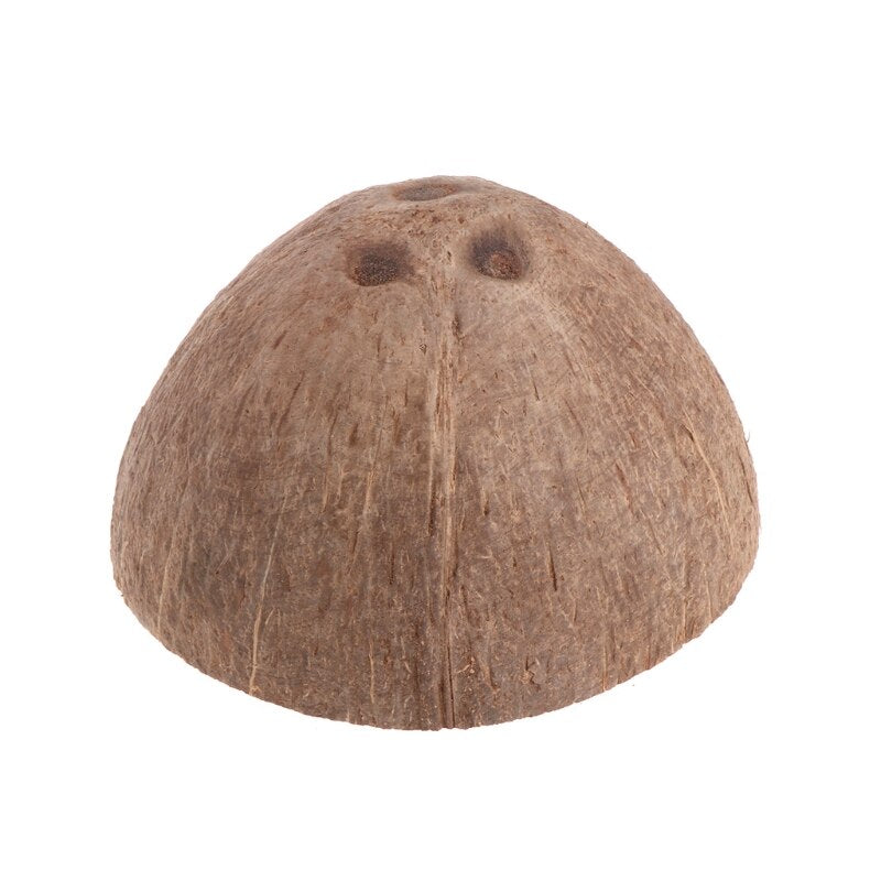 Natural Coconut Cave Hideout for Reptiles and Fish by HitMyNeed