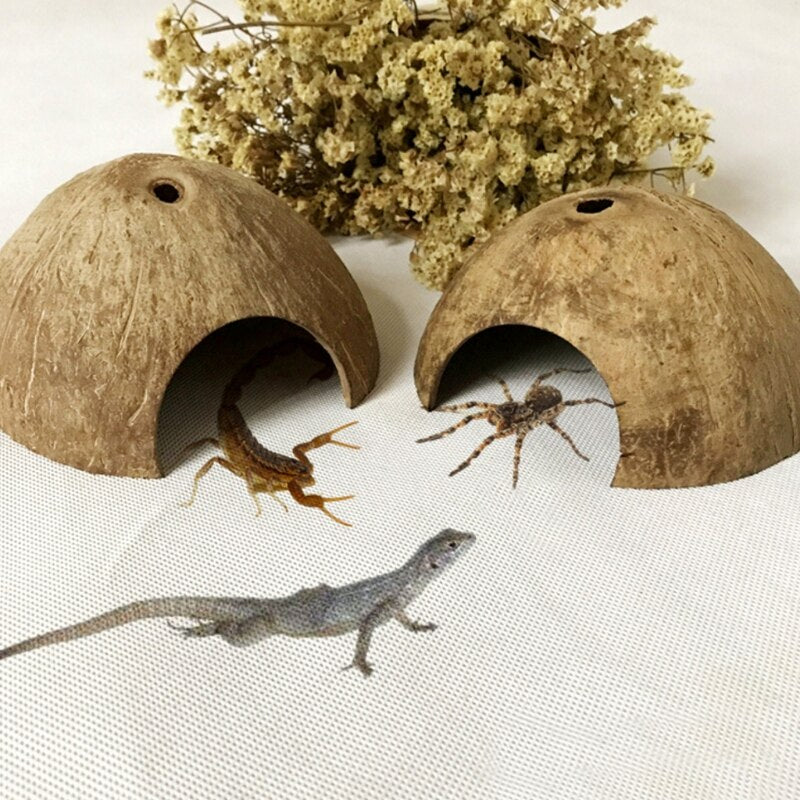 Natural Coconut Cave Hideout for Reptiles and Fish by HitMyNeed