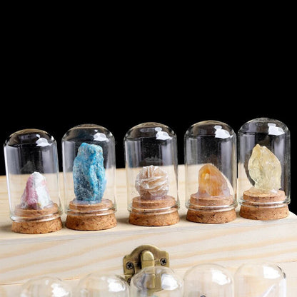 Natural Crystal Mineral Specimen Glass Display Jar by HitMyNeed