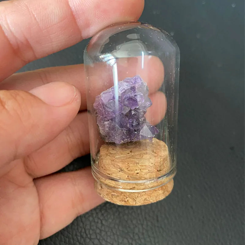Natural Crystal Mineral Specimen Glass Display Jar amethyst-cluster by HitMyNeed