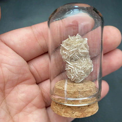 Natural Crystal Mineral Specimen Glass Display Jar desert-rose by HitMyNeed