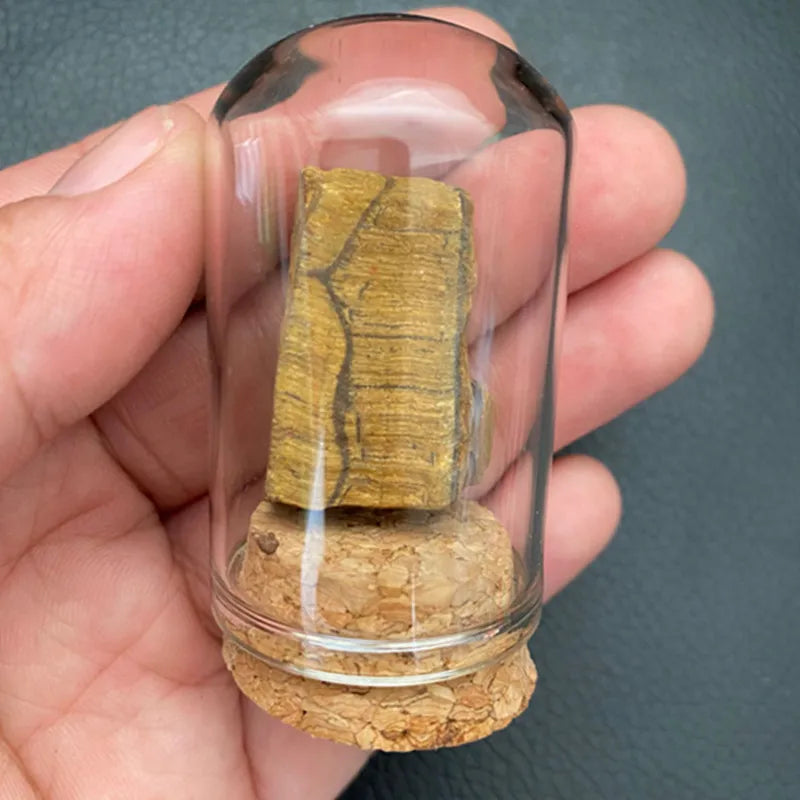 Natural Crystal Mineral Specimen Glass Display Jar tiger-eye by HitMyNeed