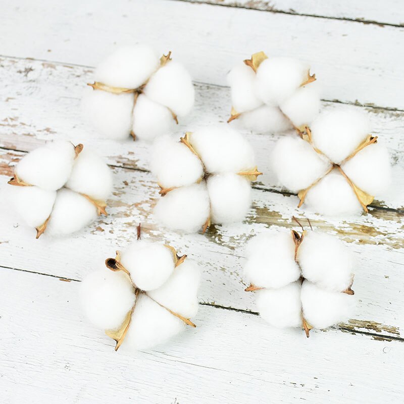 Natural Dried Cotton Flowers Stems (Set of 10) by HitMyNeed