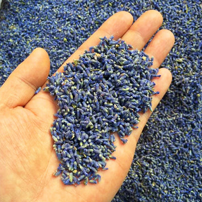 Natural Dried Lavender Flowers 20g - Culinary & Craft Use by HitMyNeed