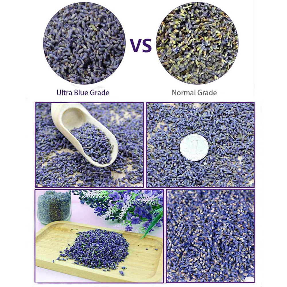 Natural Dried Lavender Flowers 20g - Culinary & Craft Use by HitMyNeed