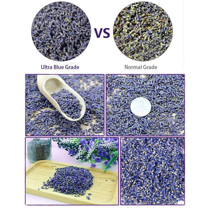 Natural Dried Lavender Flowers 20g - Culinary & Craft Use by HitMyNeed