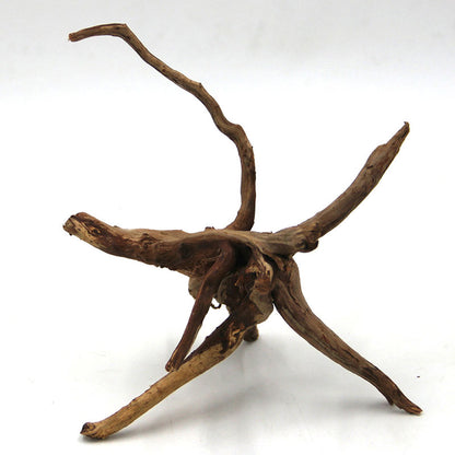 Natural Driftwood Decoration for Aquariums 8-15cm by HitMyNeed