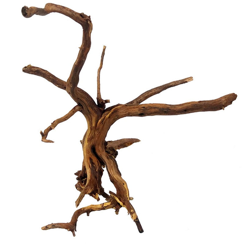 Natural Driftwood Decoration for Aquariums 8-15cm by HitMyNeed