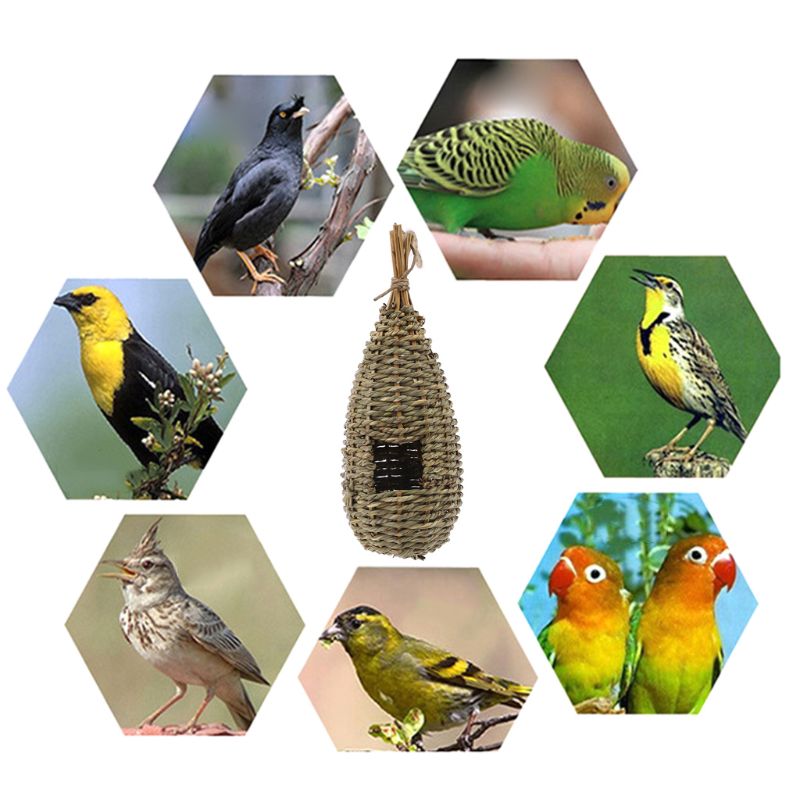 Natural Grass Hanging Birdhouse for Outdoor Use by HitMyNeed