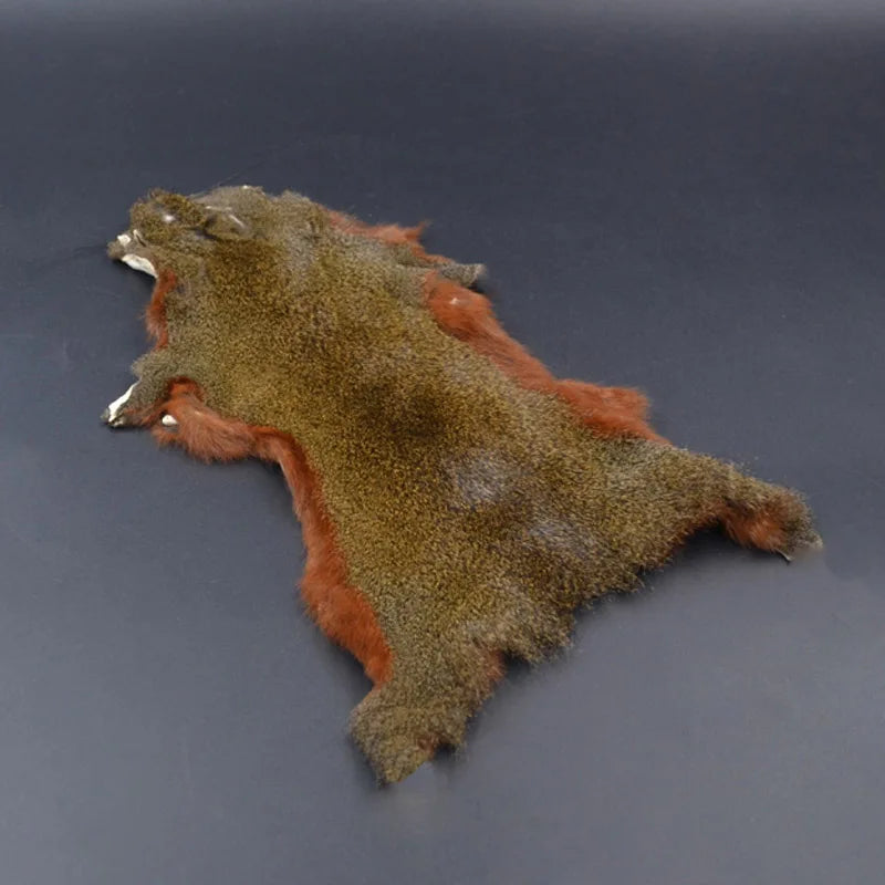Natural Pine Squirrel Skin for Fly Tying Nymphs & Zonkers red-belly by HitMyNeed