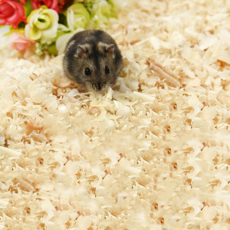 Natural Poplar Hamster Sawdust Bedding 50g by HitMyNeed