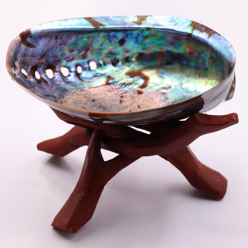 Natural Rainbow Abalone Shell Decor Dish 11-13cm by HitMyNeed