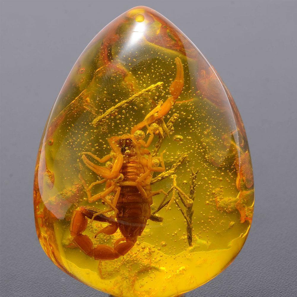 Natural Scorpion in Baltic Amber Pendant Stone 5x4cm by HitMyNeed