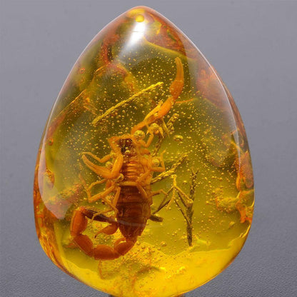 Natural Scorpion in Baltic Amber Pendant Stone 5x4cm by HitMyNeed