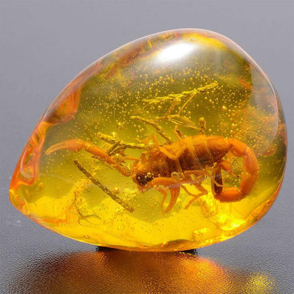Natural Scorpion in Baltic Amber Pendant Stone 5x4cm by HitMyNeed
