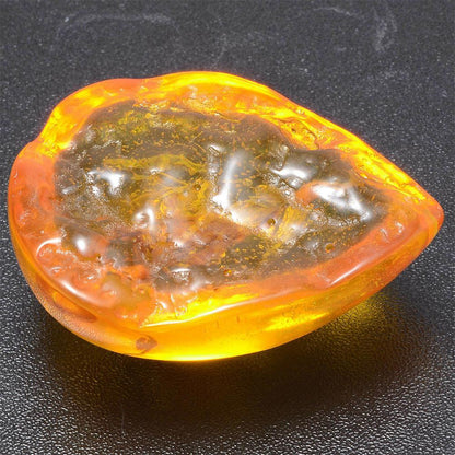 Natural Scorpion in Baltic Amber Pendant Stone 5x4cm by HitMyNeed