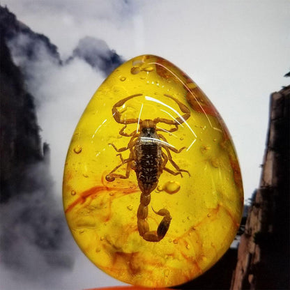 Natural Scorpion in Baltic Amber Pendant Stone 5x4cm by HitMyNeed