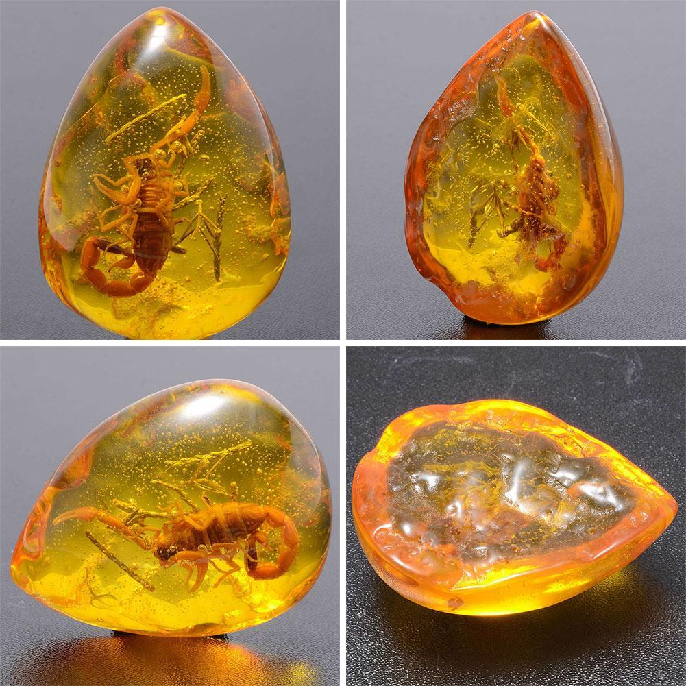 Natural Scorpion in Baltic Amber Pendant Stone 5x4cm by HitMyNeed