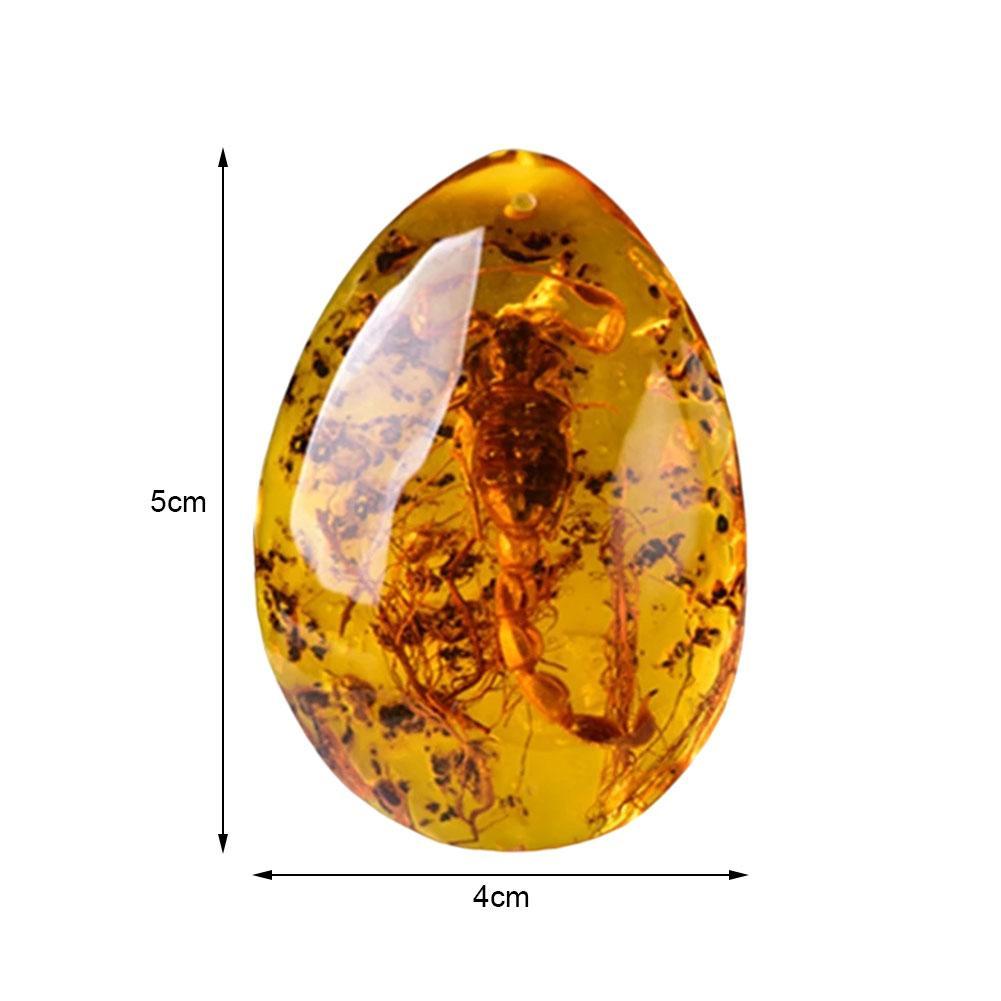 Natural Scorpion in Baltic Amber Pendant Stone 5x4cm by HitMyNeed