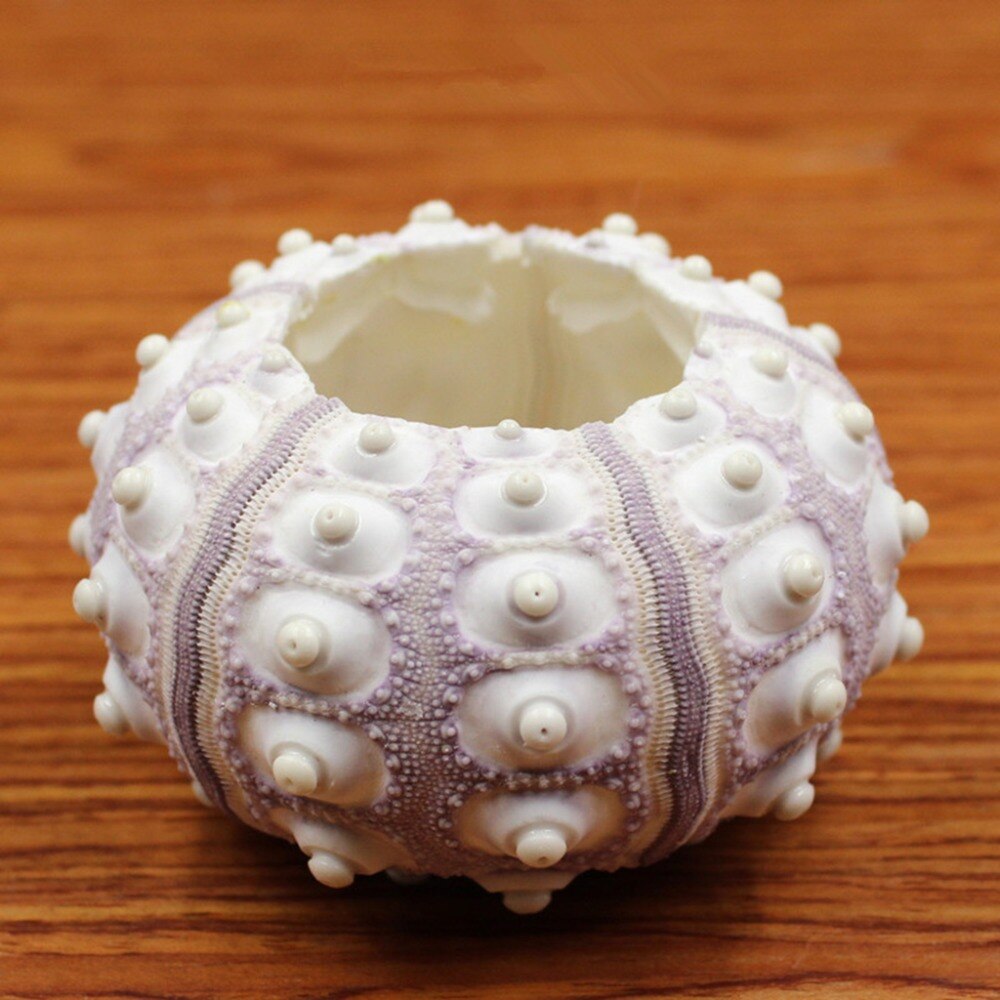 Natural Sea Urchin Shell Air Plant Holder by HitMyNeed