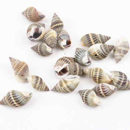 Natural Spiral Seashells for DIY Crafts (10 Pack) by HitMyNeed
