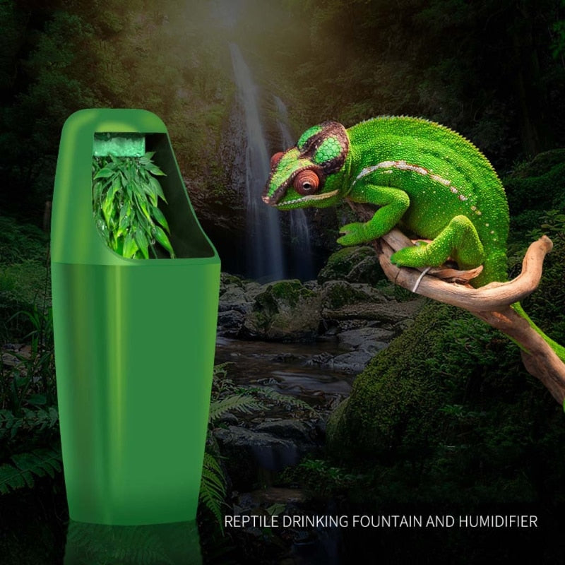 Natural Style 800ml Reptile Water Fountain by HitMyNeed