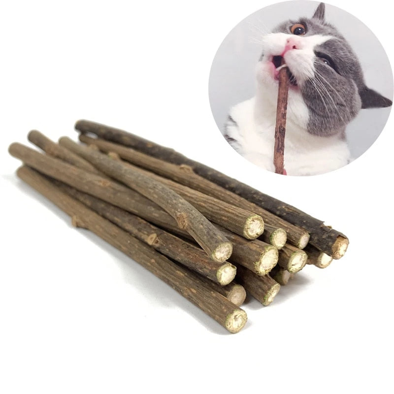 Natural Wood Cat Dental Sticks (20 Pack) by HitMyNeed