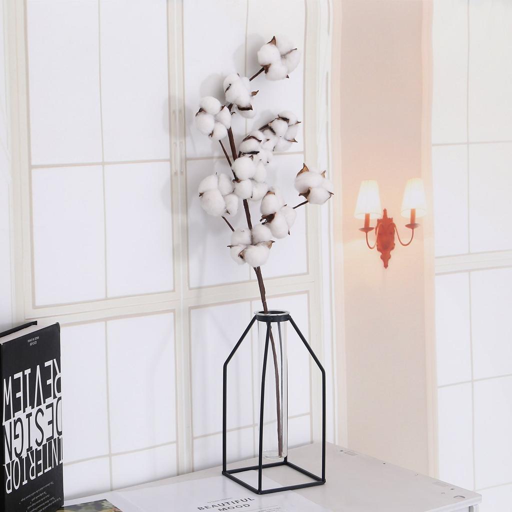 Naturally Dried Cotton Stem Home Decoration by HitMyNeed