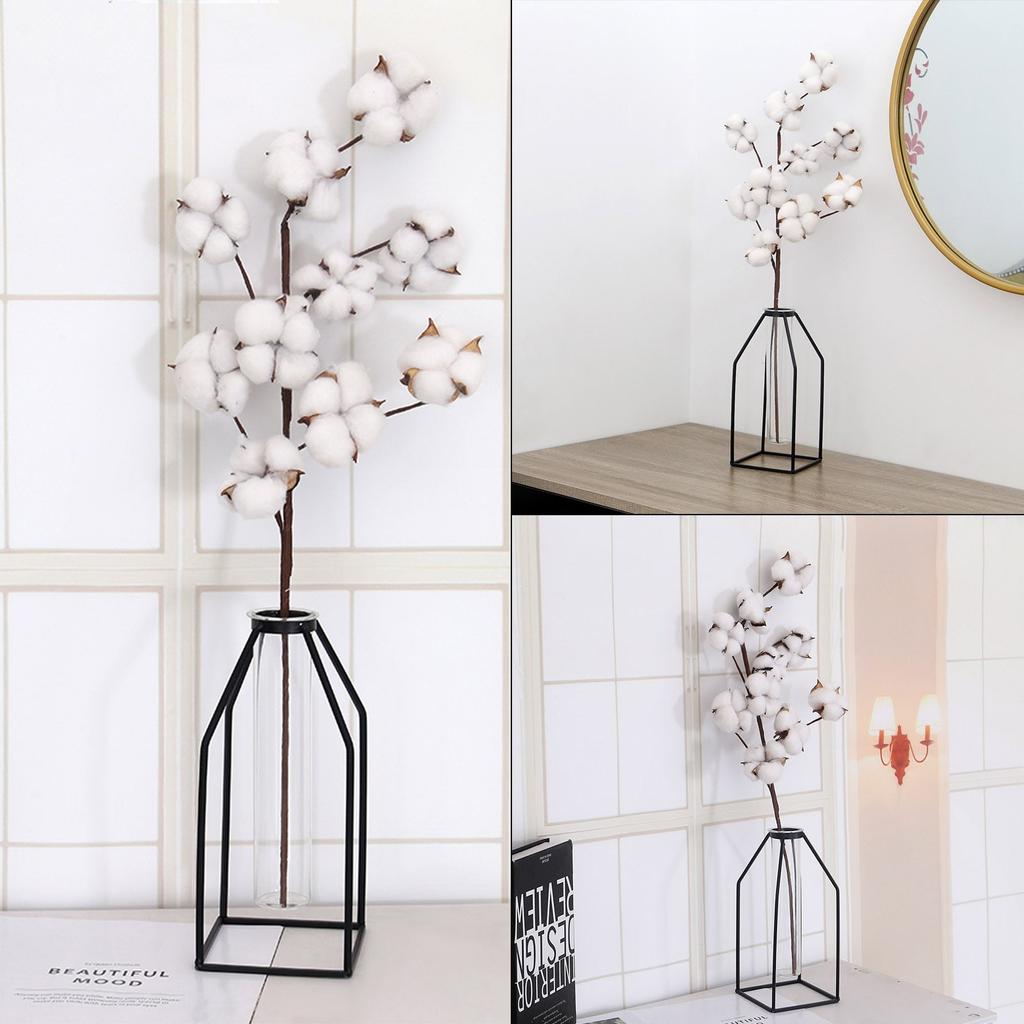 Naturally Dried Cotton Stem Home Decoration by HitMyNeed