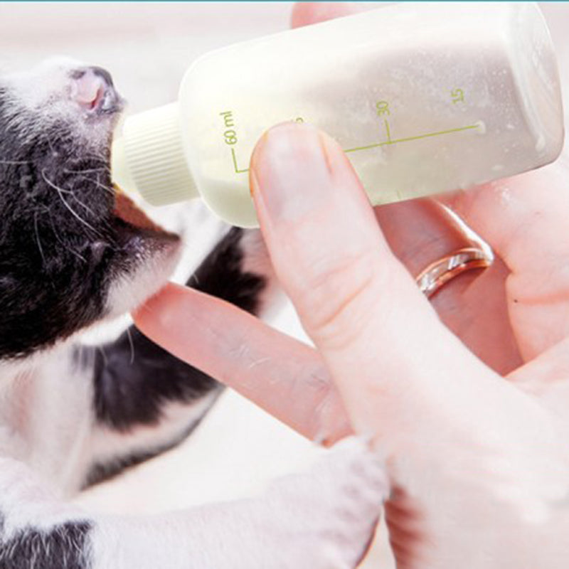 Newborn Kitten Nursing Kit with 60ml Bottle (6pcs) by HitMyNeed