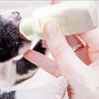 Newborn Kitten Nursing Kit with 60ml Bottle (6pcs) by HitMyNeed
